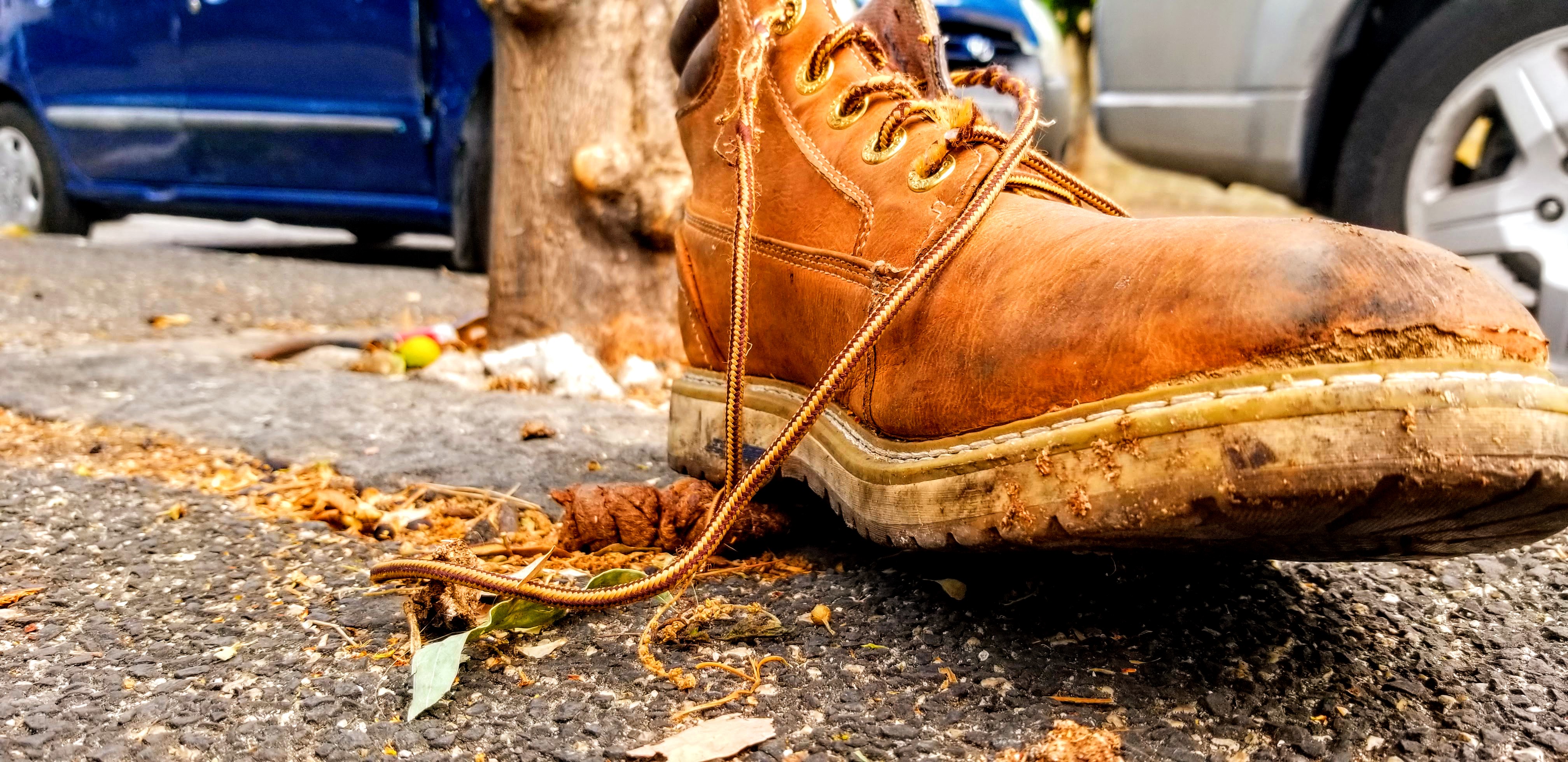 A discarded boot and dog poop on the streets of Naples, Italy.