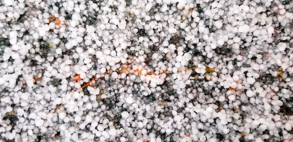 A photograph of small hailstones on asphalt.