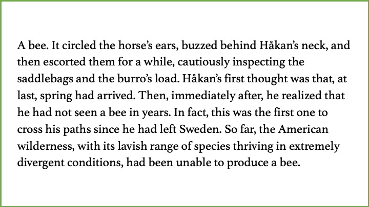 Excerpt from Hernán Díaz's novel In the Distance