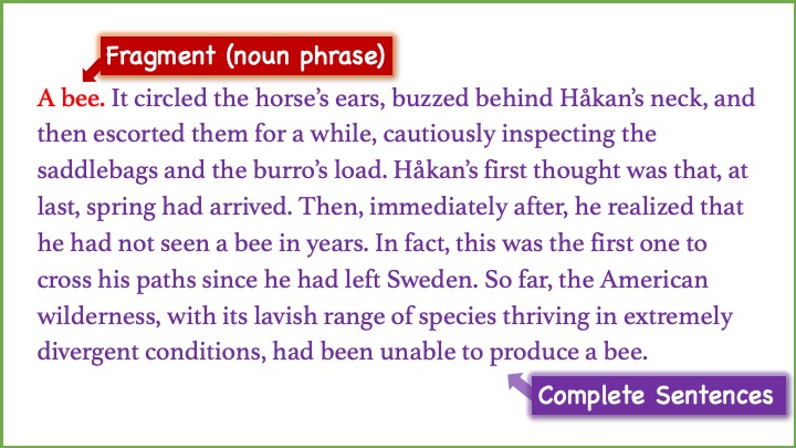 Excerpt from Hernán Díaz's novel In the Distance, with sentence fragments and complete sentence marked.