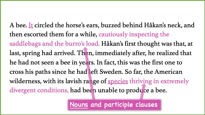 Excerpt from Hernán Díaz's novel In the Distance, with participle clauses marked.