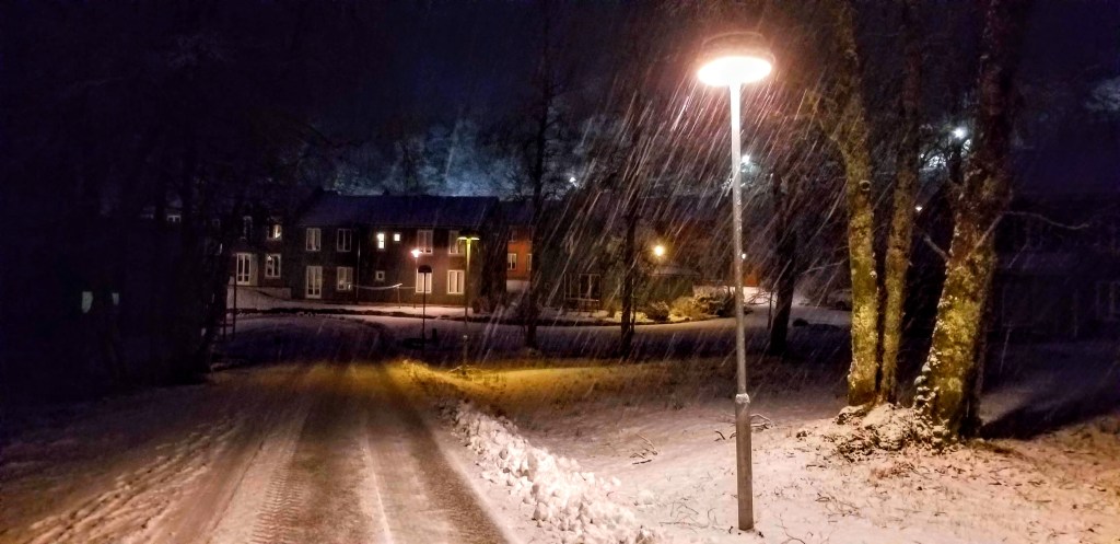 Snow falling through the light of a lamppost at night, houses in the distance.