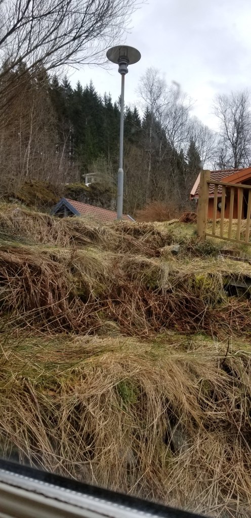 Image of a hillside of long, brown grass drooping over beneath a lamp post and a gray sky.