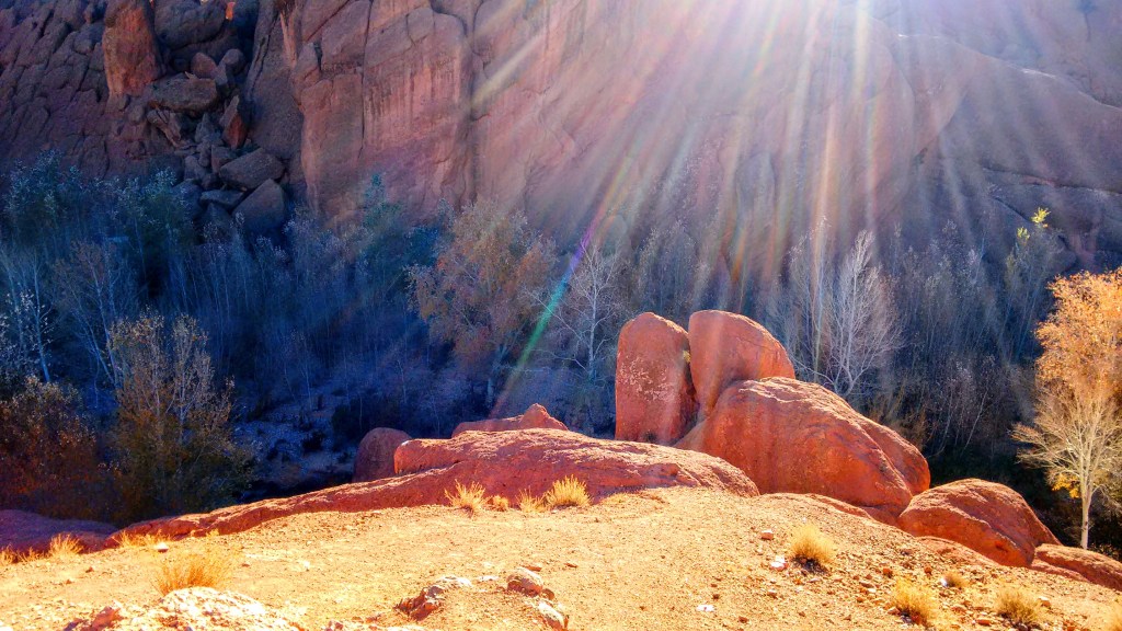 Photograph of red rocks in sunlight against a background of shadowed trees in Morocco.