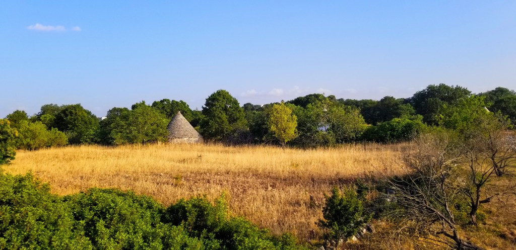 Photograph of a trullo in a field surrounded by trees.