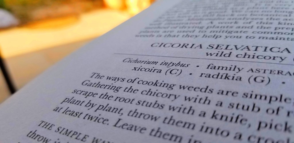 Close-up photograph of a page of a short section of text from Patience Gray's Honey from a Weed.