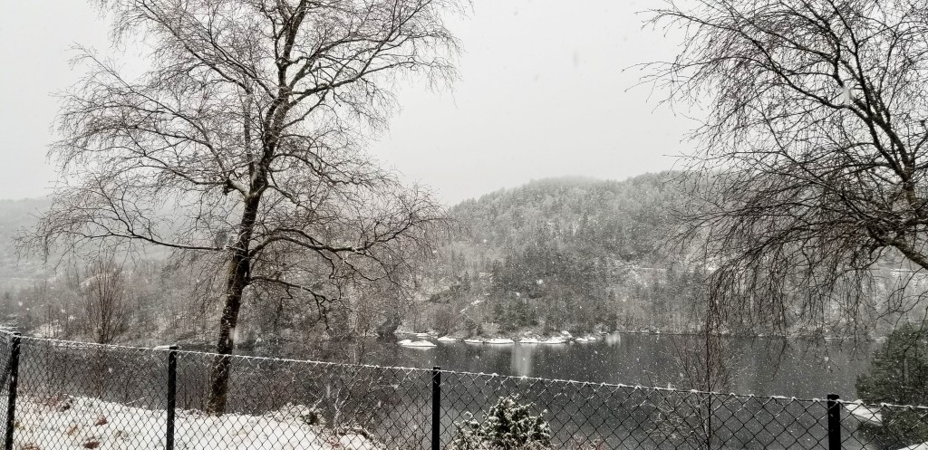 Snowflakes falling over a distant forest.