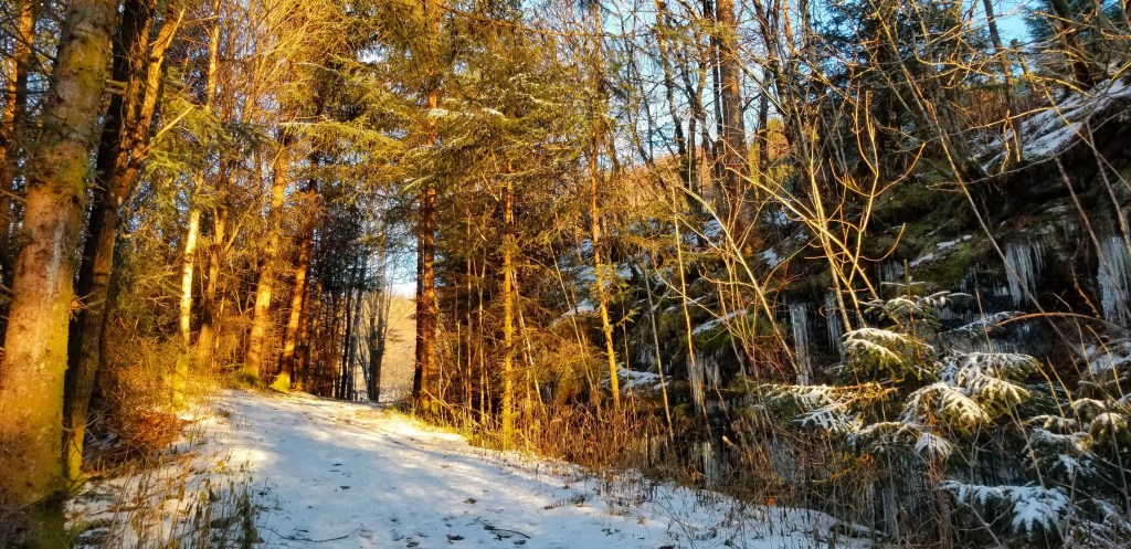 Yellow sunlight peeking through trees on a snow-covered path.