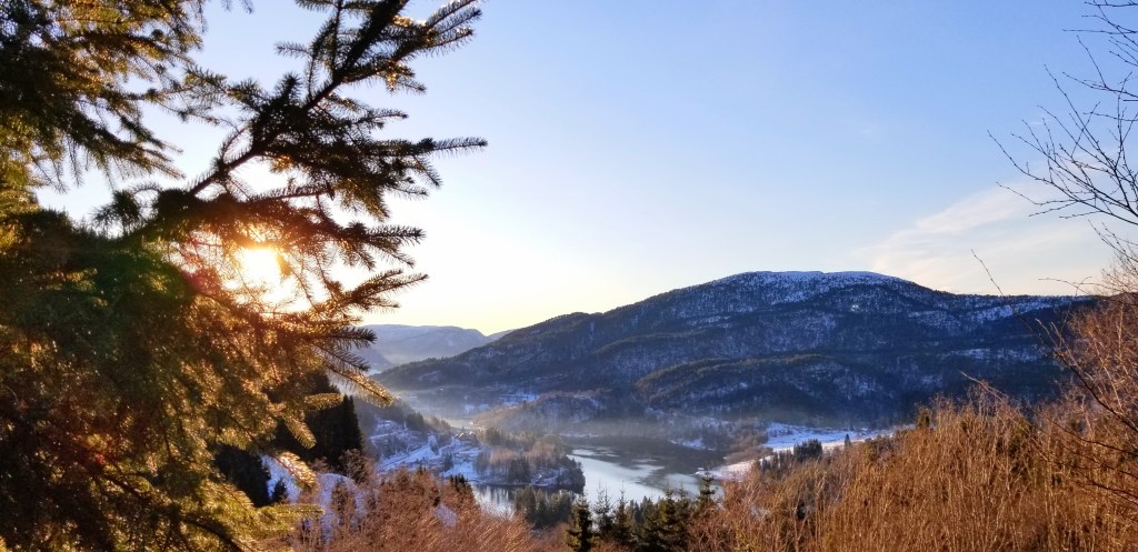A snow-covered mountain, with a pine tree in the foreground through which the sun is just visible.